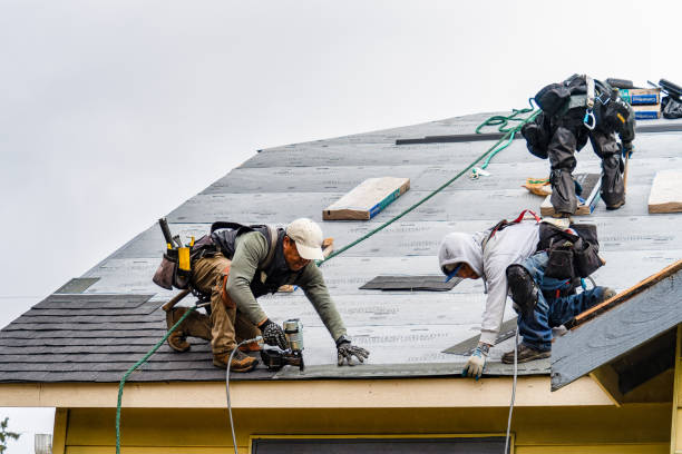 Professional Gutter Installation technician working in Nunnelly, TN